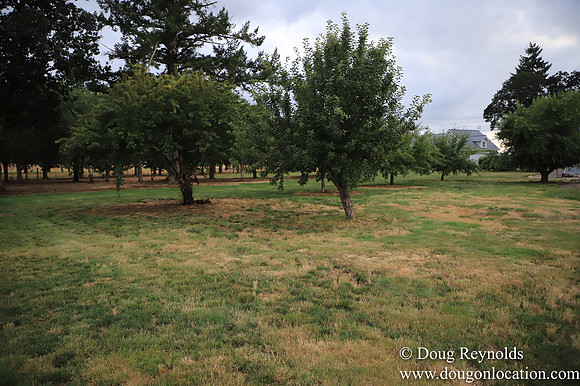 Galen Sheep Ranch