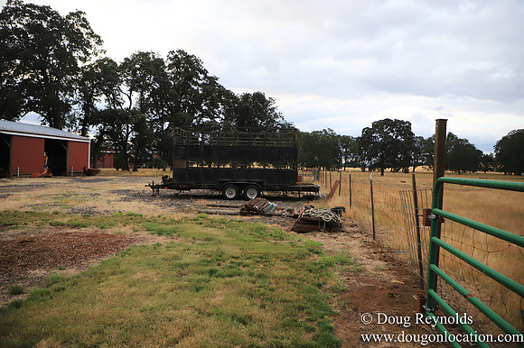Galen Sheep Ranch