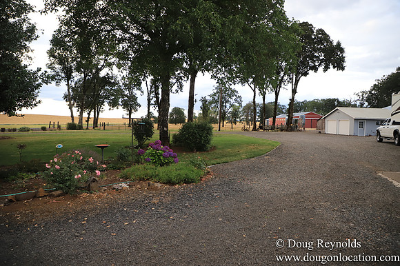 Galen Sheep Ranch