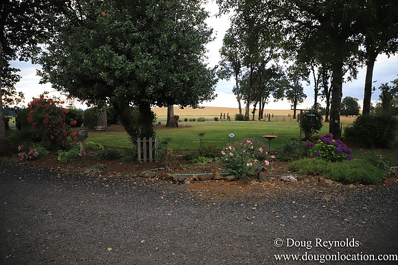Galen Sheep Ranch