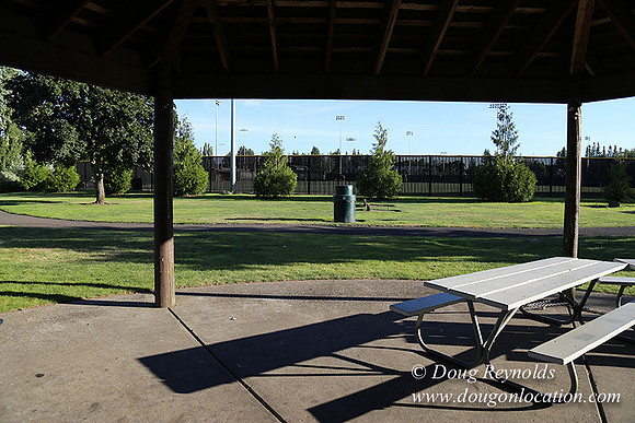 Lincoln Park-0649