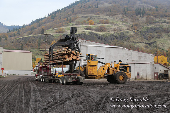 SDS Lumber-1471