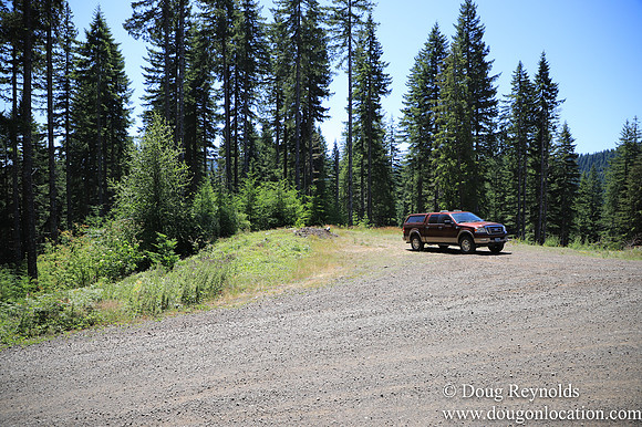Wolf Cr 2