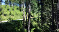 gravel Roads
