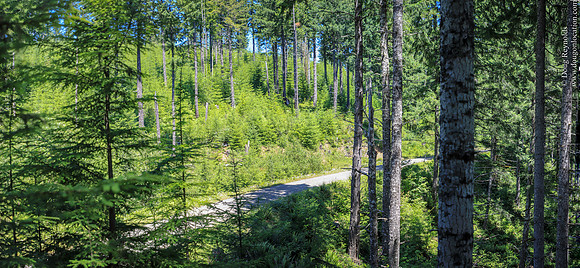gravel Roads