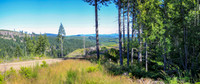 gravel Roads
