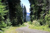gravel Roads