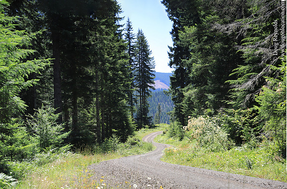 gravel Roads