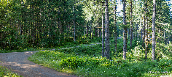 gravel Roads