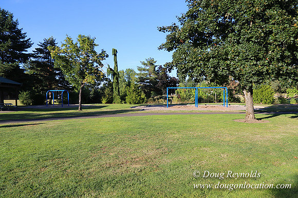Lincoln Park-0662