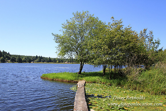 Richter Lake House-8403