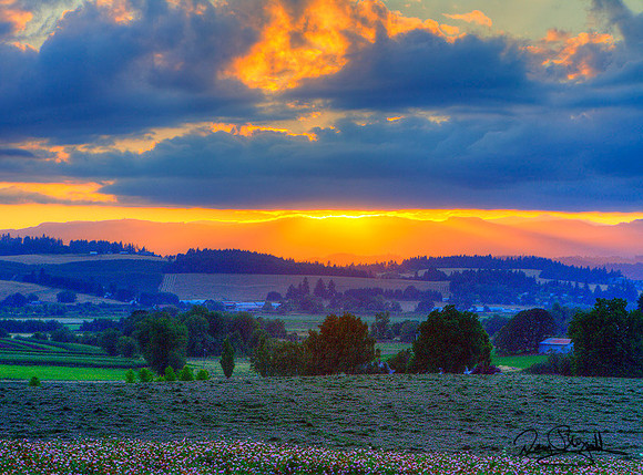 Gibson Sunset