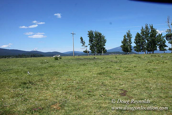 2500 Acres of green fields Creeks water crossing Bridges on a Large Lake and miles of Dirt roads Oak trees Forest land ATV Trails cows