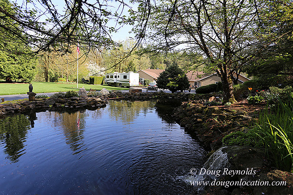 Brians Pond & Drive-9929