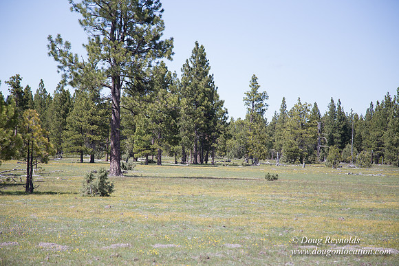 Ranch 18