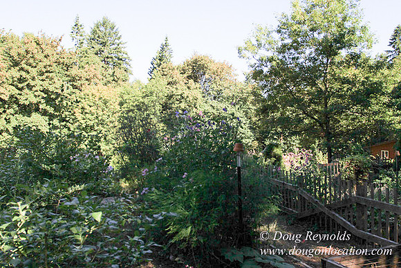 Traditional Style Home small farm with large kitchen great room, 2 story, 2 car garage on Acreage with large back yard, large front yard, garden, pond, deck, goats, bees, shop, PDX Zone