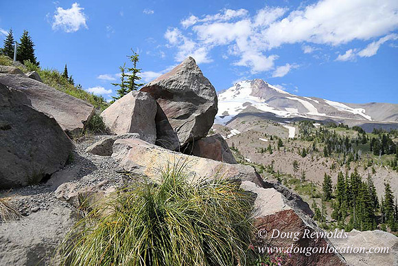 Timberline East rock-6783