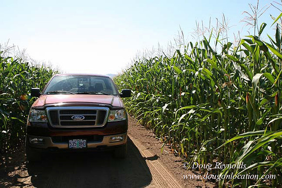 Farm 4 has Barns Shops they grow Wheat and Corn.  in the Portland Zone