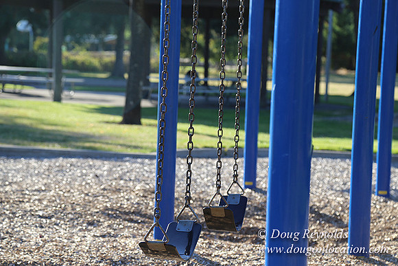 Lincoln Park-0654