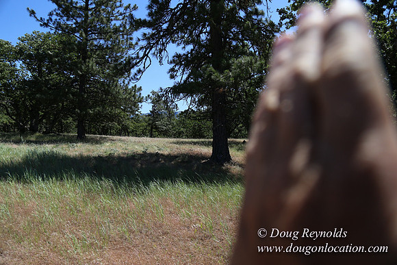 Brothers Ranch-8491