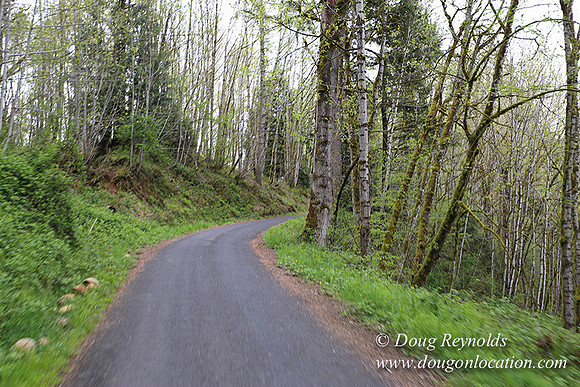 Brians Rd to the Gate-0294