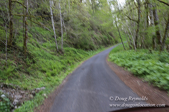 Brians Rd to the Gate-0292