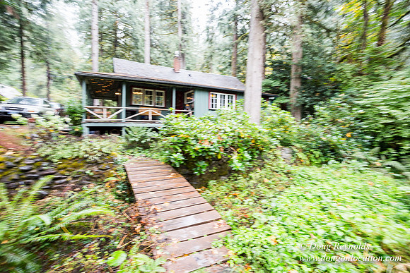 Collins Cabin