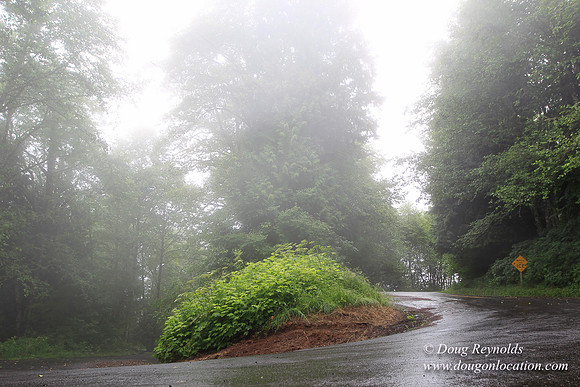 Brower Rd