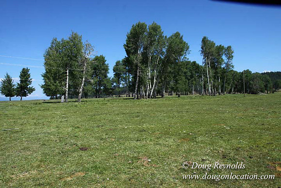2500 Acres of green fields Creeks water crossing Bridges on a Large Lake and miles of Dirt roads Oak trees Forest land ATV Trails cows