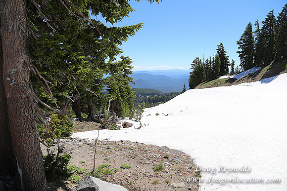Medow's Snow-5705