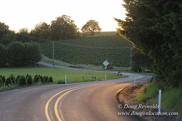Hwy 214 M18-7654