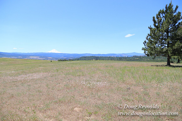 Brothers Ranch-8495