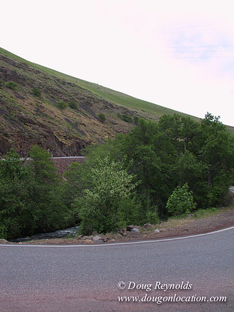 WA Canyon Rd- 7415
