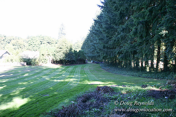 Glinna’s Home Traditional Style County Ranch home, large kitchen great room, 2 car garage on Acreage with large back yard, large front yard, garden, pool, patio, 2 story shop with office,  PDX Zone