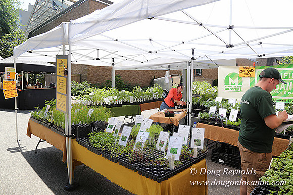 Portland PSU Farmers Mkt-5842