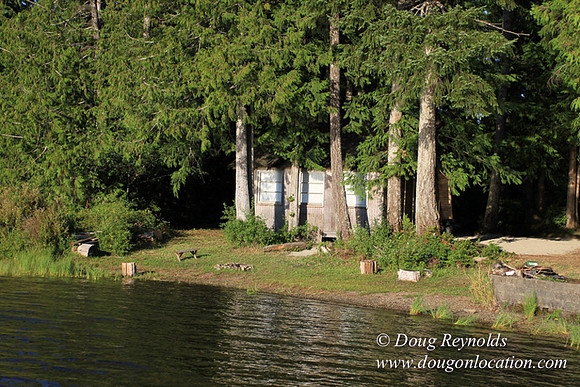 Boat, Cabin, Dock, Home, "House lake", WA, Washington, Yard, deck, "green. Beach" Vacation