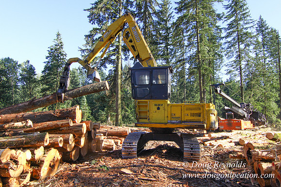 Craig Logging-3175