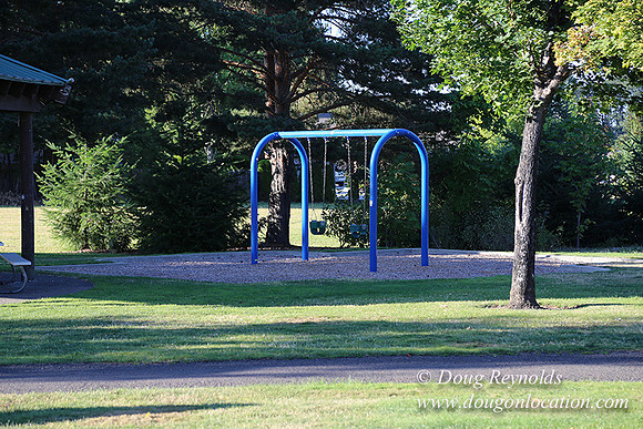 Lincoln Park-0658