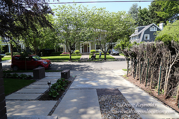 Chris's House BK Yard-6690