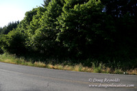 Moores Rd 2-7042