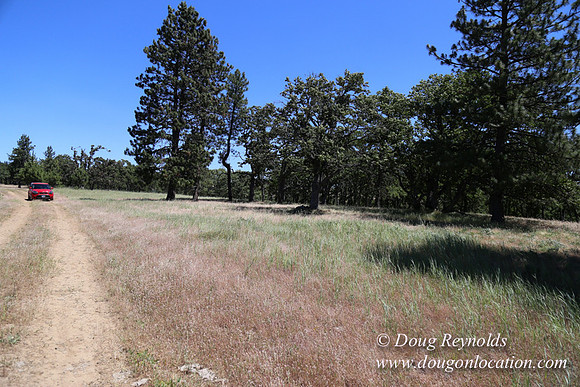Brothers Ranch-8488