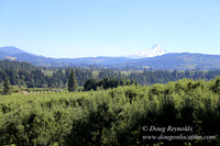 Portland Dr HdRv-8197