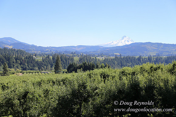 Portland Dr HdRv-8197