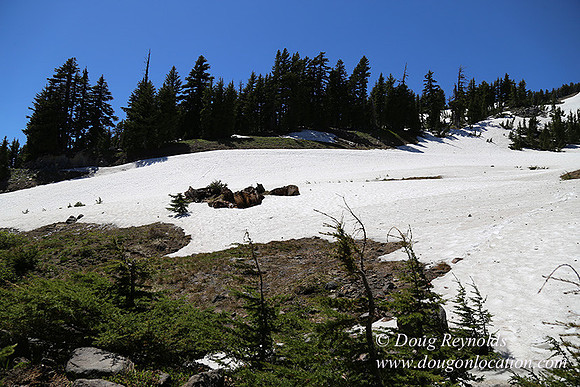 Medow's Snow-5737