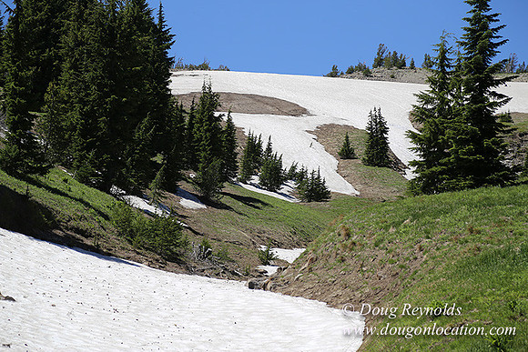 Medow's Snow-5614