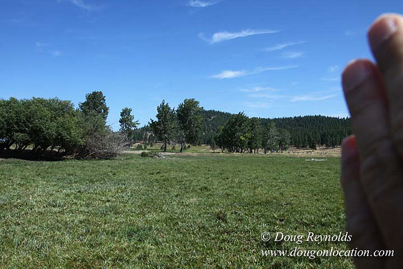 2500 Acres of green fields Creeks water crossing Bridges on a Large Lake and miles of Dirt roads Oak trees Forest land ATV Trails cows