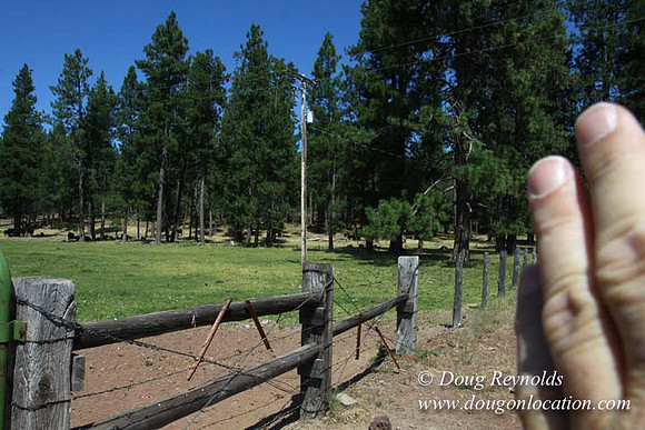 2500 Acres of green fields Creeks water crossing Bridges on a Large Lake and miles of Dirt roads Oak trees Forest land ATV Trails cows