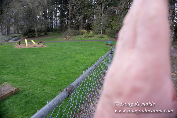 Sellwood Park-2367