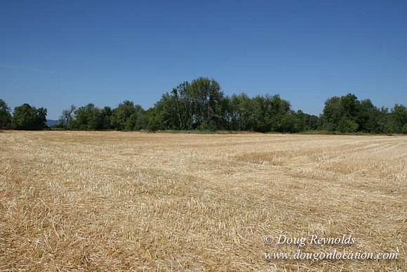 Farm 4 has Barns Shops they grow Wheat and Corn.  in the Portland Zone