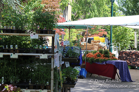 Portland PSU Farmers Mkt-5855